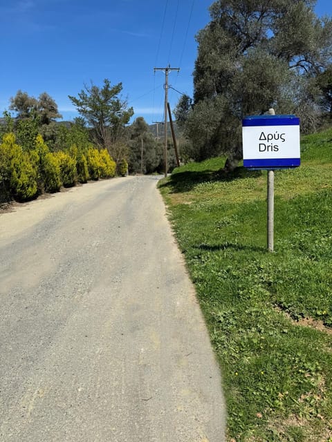 Day, Logo/Certificate/Sign