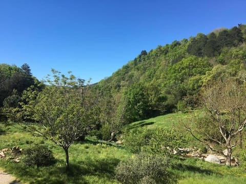 LE JARDIN DEL SUD House in Occitanie