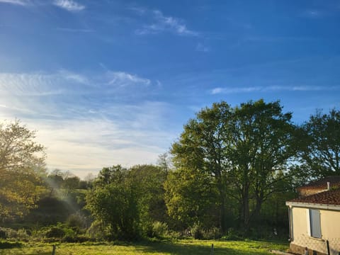 Spring, Natural landscape