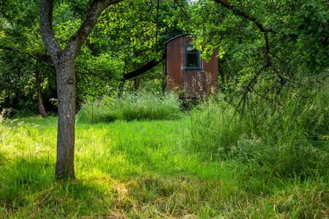 The shepherds hut at abberley glamping Campground/ 
RV Resort in Wyre Forest District