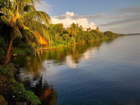 Cocibolca House B&B Bed and Breakfast in Nicaragua