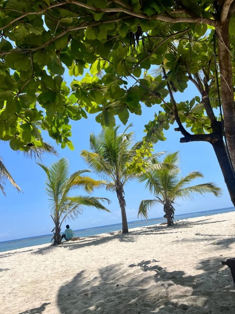 Natural landscape, Beach, Sea view