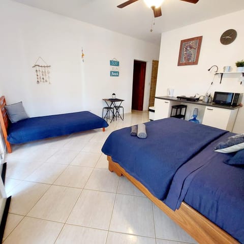 Kitchen or kitchenette, Photo of the whole room, fireplace