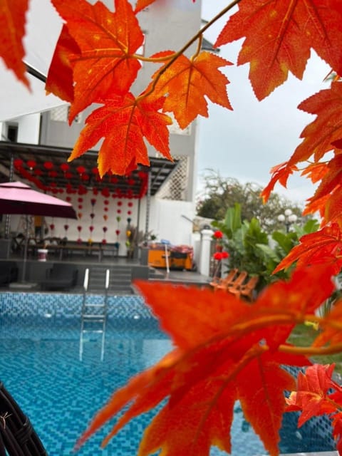 Day, Garden view, Pool view