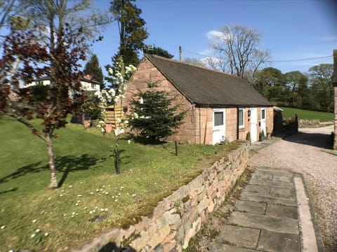 Property building, Garden, Garden