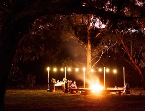 Night, BBQ facilities, group of guests