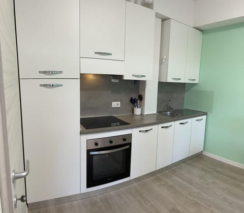 Kitchen or kitchenette, dishwasher, minibar, oven, stove