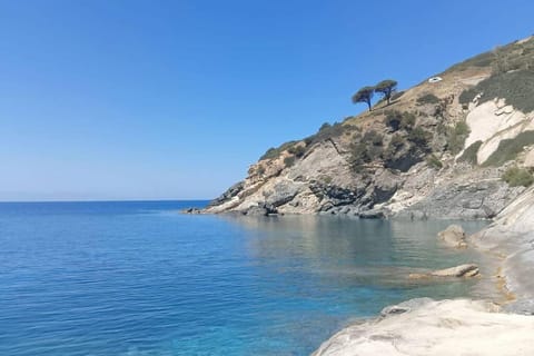 La Pergola di Pomonte Apartment in Campo nell'Elba