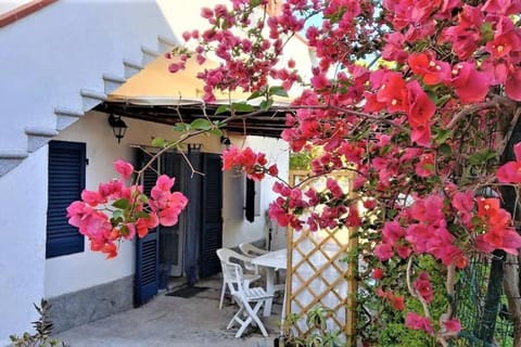 La Pergola di Pomonte Apartment in Campo nell'Elba