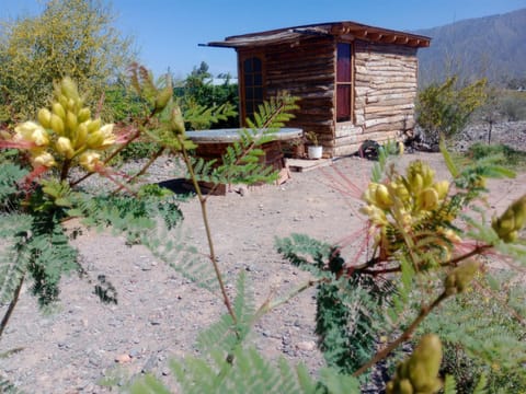 Property building, Spring, Natural landscape, Garden, Mountain view