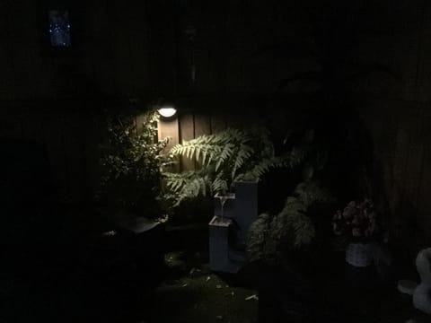 Night, Garden