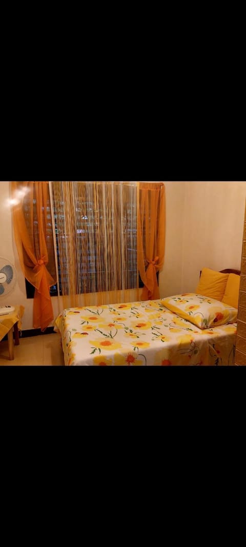 francia borjal 3-bedroom, 2 t&b shared apartment Apartment in Puerto Princesa