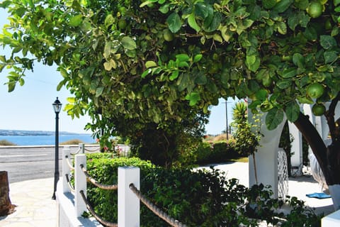 Natural landscape, Garden, Sea view