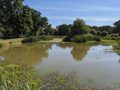 The Barn New Forest Free Paddle boarding & free Zip wire. Maison in Ringwood