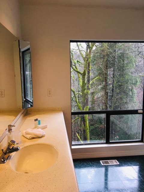 Creekside City Center suite Vacation rental in North Vancouver