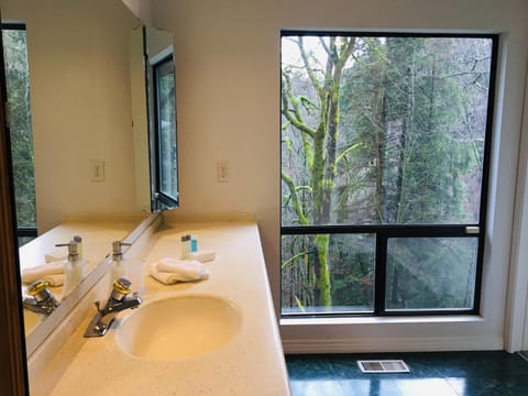 Creekside City Center suite Alquiler vacacional in North Vancouver