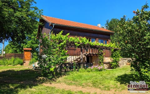 Property building, Spring, Day, Garden, Garden view