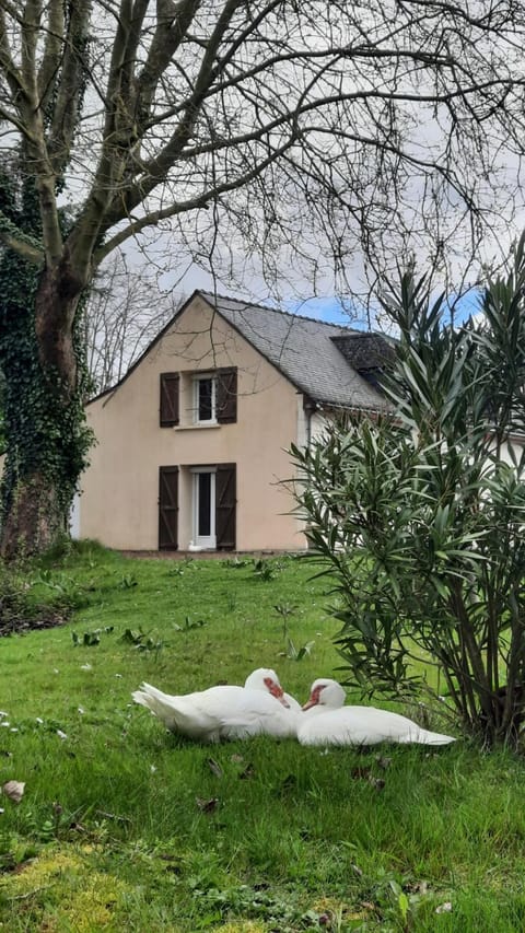 etang de la bibardiere House in Saumur