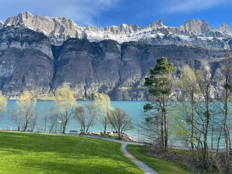 Natural landscape, Lake view, Mountain view