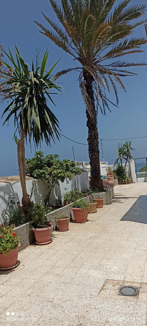 terrasses des tamaris Condo in Algiers [El Djazaïr]