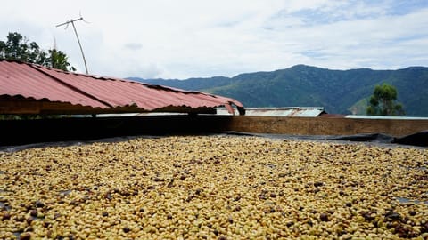 Bosque de Oro Campground/ 
RV Resort in Risaralda