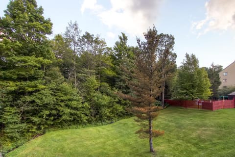 Mountain Green Condos at Killington Condo in Mendon