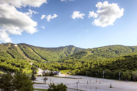 Mountain Green Condos at Killington Condo in Mendon