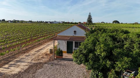 Casa Trincadeira Apartment in Palmela