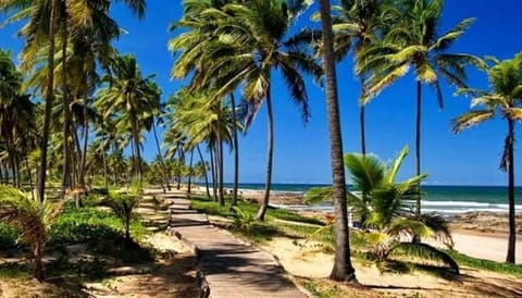 Natural landscape, Beach