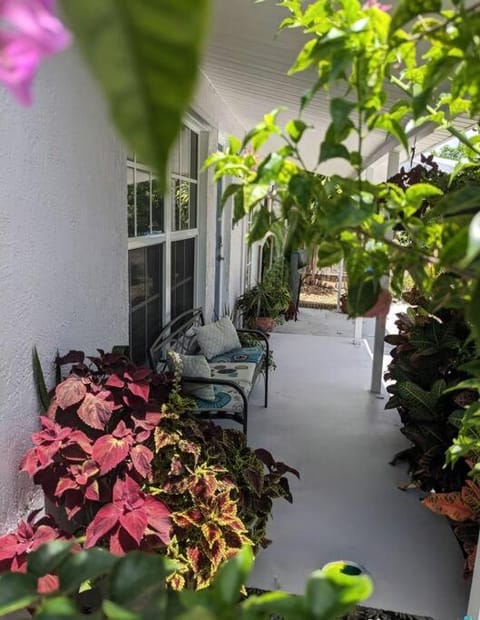 The Ave House- Private Oasis Retreat W/heated Pool Casa in Oakland Park