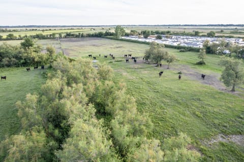 Natural landscape, Bird's eye view