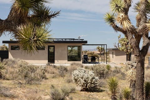 Property building, Spring, Day, Natural landscape, Garden view