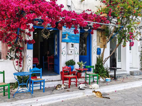 Old Villa Ormos Villa in Samos, Greece