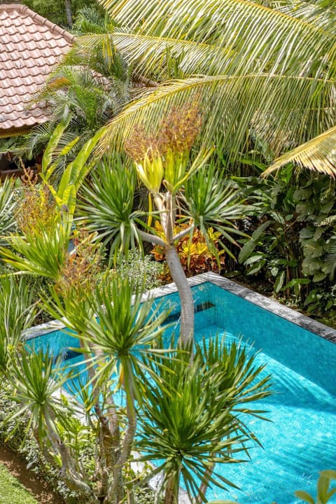 Garden view, Garden view, Pool view