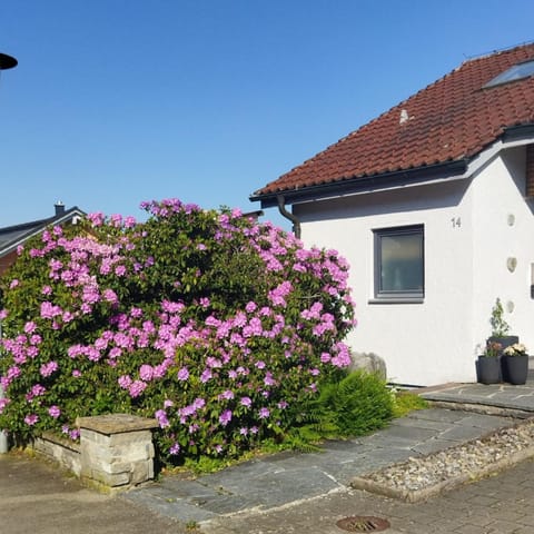 Ferienwohnung Hochgratblick Apartment in Leutkirch im Allgäu