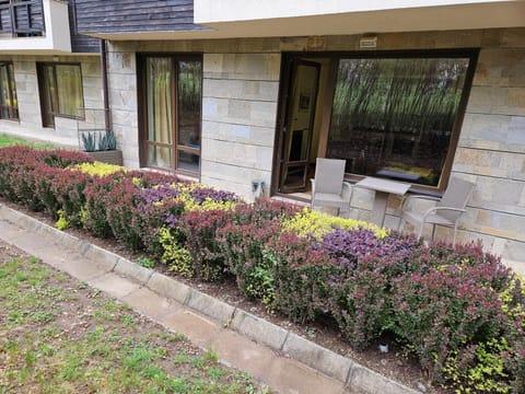 Patio, Garden, Garden view