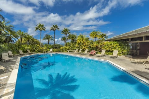 Kapalua Ridge Villas-#2212 condo Apartment in Kapalua