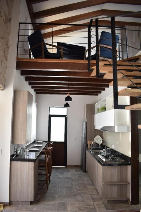 Loft Montenegro House in Aguascalientes
