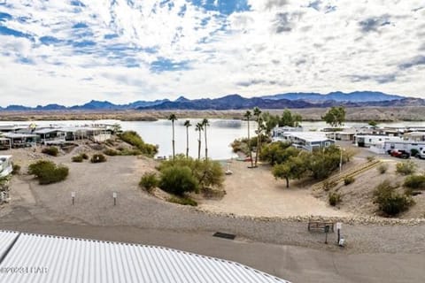 Picture Perfect at Sam's Beachcomber on the Island House in Lake Havasu City