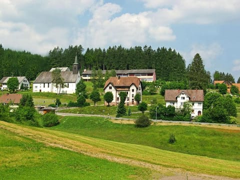 Rappenloch Modern retreat House in Titisee-Neustadt