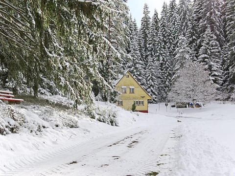 Rappenloch Modern retreat House in Titisee-Neustadt