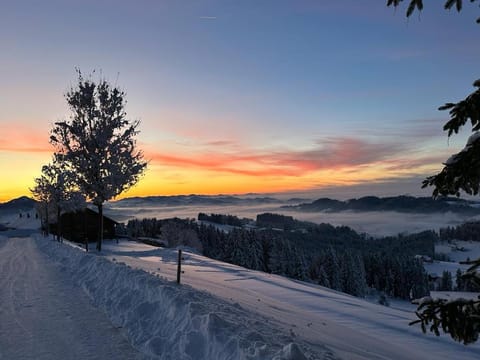 Ferienwohnungen Allgäu-Bodensee Apartment in Wangen im Allgäu