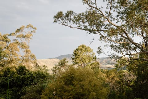 Natural landscape, Mountain view