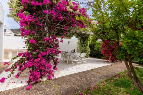 Property building, Garden, Dining area, Garden view