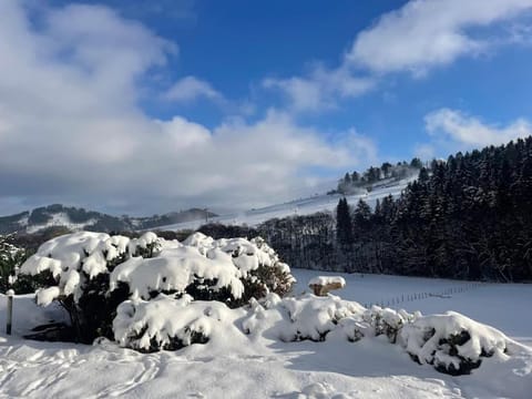 Haus am Wald Willingen Apartment in Willingen