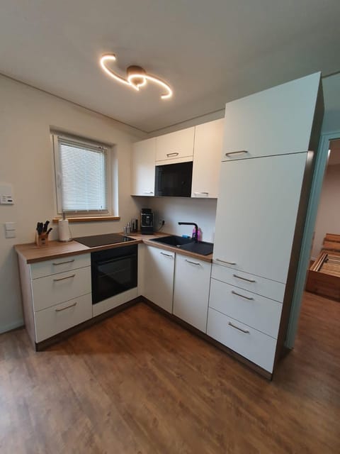 Kitchen or kitchenette, oven, stove