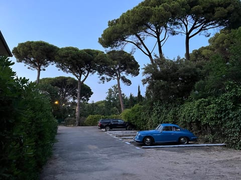 Day, Natural landscape, Parking