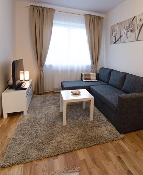 Lovely Dream Apartment Condo in Vilnius