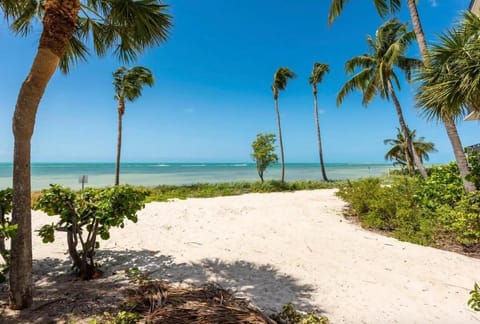 NEW Atlantic Escape - Beach & Pool Apartment in Key West