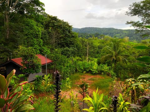 Day, Natural landscape, Mountain view